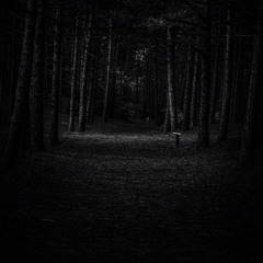 in the dark [REPULSIVE]