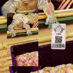 MF Doom-Doomsday (Jersey Dub Remix)