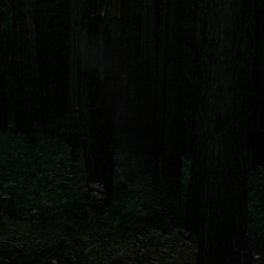 Stillness (sped up)