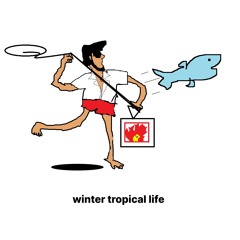 winter tropical life