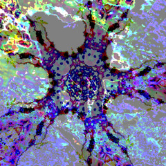 Reconditus (disquiet0668)