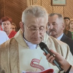Peregrynacja obrazu NSPJ w parafii Kormanice - powitanie (04.05.2024)