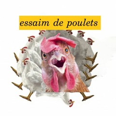 Essaim De Poulets