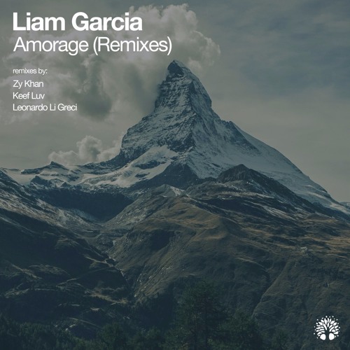 Liam Garcia - Amorage (Zy Khan remix) Electronic Tree