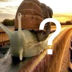 ?