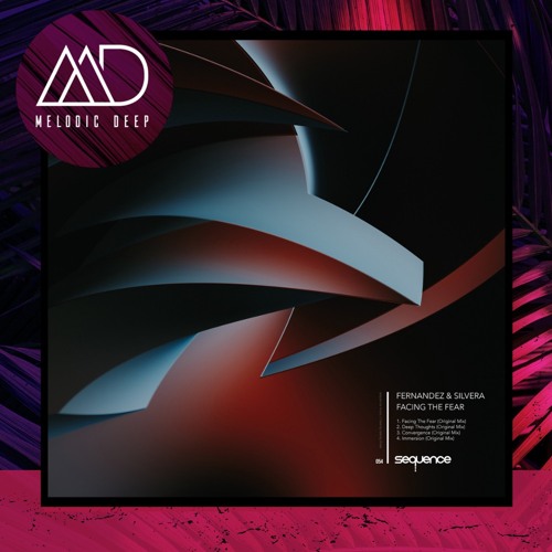 PREMIERE: Fernandez, Silvera - Facing The Fear (Original Mix) [sequence Music]