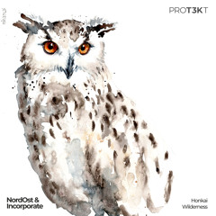 NordOst & Incorporate - Wilderness (PROT3KT018)