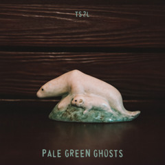 Pale green ghosts (in the style of John Grant)