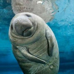 SØKO MODE (feat Lil Bunn)