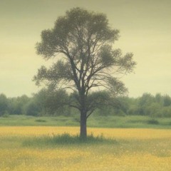 Where The Flowers Grew