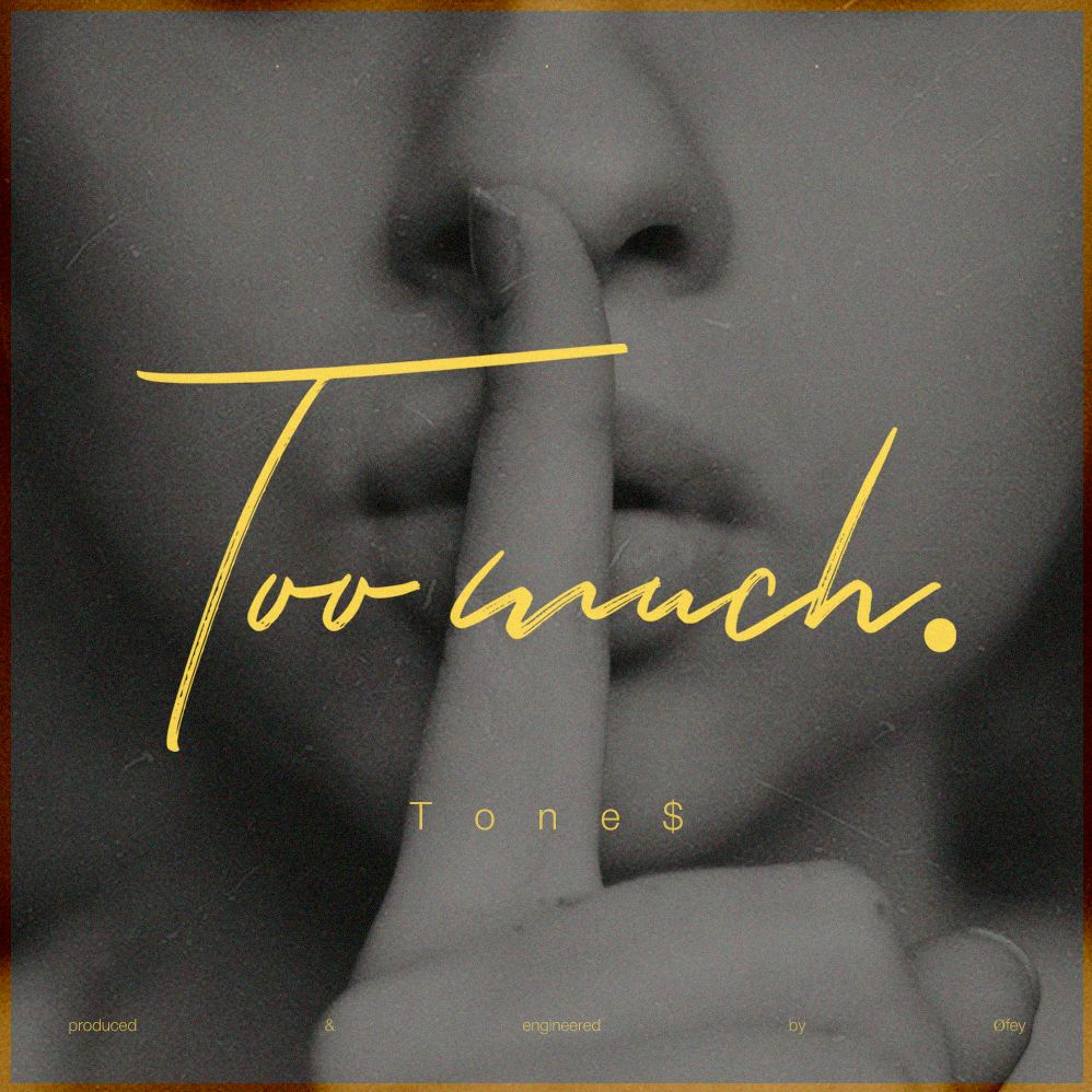 Too Much (prod. Ofey) episode artwork