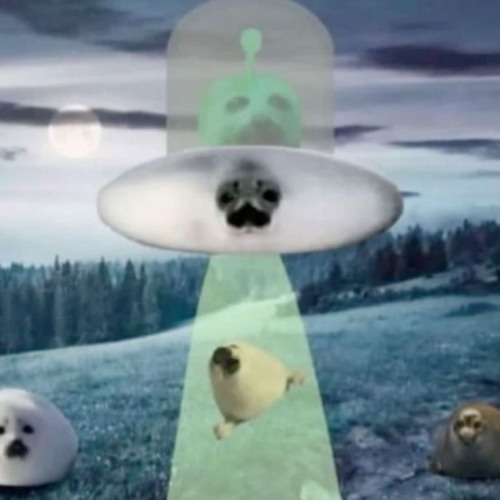 COM381Soup Assignment 8 SOUP - Echo