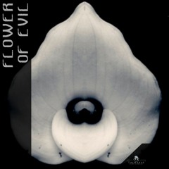 Flowers Of Evil - Free Download -