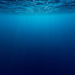 Adsche/Skinni - Tiefsee