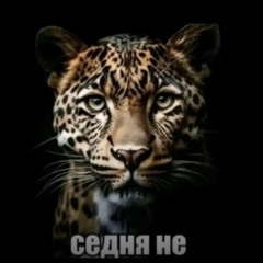 W1ze -  Аномальный (prod. by yumekoo!)