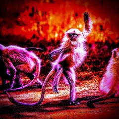 VINZ-E ~Oldskool Gfunk-Hip Hop (Raw&Rare)