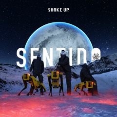 Sentido - Shake Up