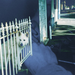 house (with lovebait)