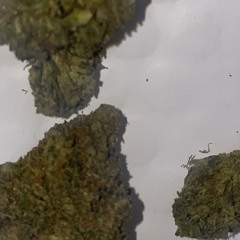 Halo (prod.by Cellebr8)