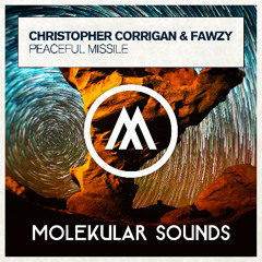 Christopher Corrigan & FAWZY - Peaceful Missile