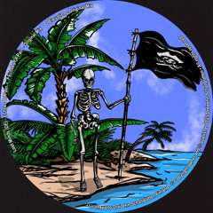 Lost Minds (DE) - Elevation [Cut] Dreizehn Schallplatten