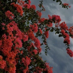 What You Won't Do For Love - Bobby Caldwell (Cover by RAAS)