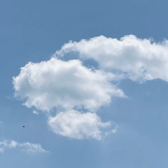 [Playlist] Windy Wave 인디 밴드, 잔잔한 음악