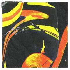 Premiere : Mori Miller - P1 (Thomas Stieler's Laid Back Remix) (LR104)