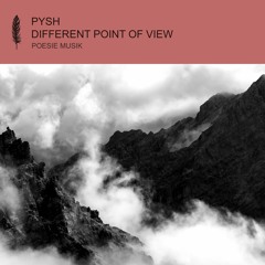 Pysh - Different Point Of View (Max Joni Remix) (snippet)
