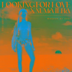 Looking For Love X Numa Ilha (ZOZI MASHUP) - Anitta, Alok & Marina Sena