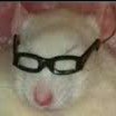 Hp Riot - I have changed