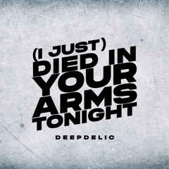 (I Just) Died in Your Arms (House Version)