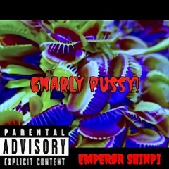 GNARLY PU$$Y! (freestyle) - EMPEROR SHINPI