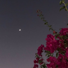 سورة الملك/ هزاع البلوشي