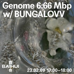 Genome 6.66 Mbp w/ Bungalovv on Bahui Radio