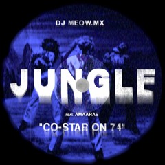 Co​-​Star On 74 x Jungle ft. Amaarae