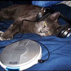 12:01 (Instrumental) [AT YOUR OWN RISK] (2006 - 2007)