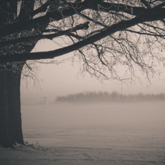 clips with 1rxmi and eve