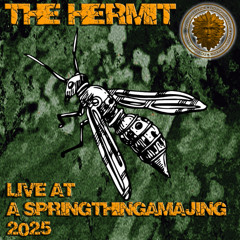 The Hermit - Live @ Springthingamajing 2025