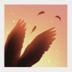 Wings- Halfy and Winks
