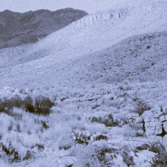 lady may by tyler childers, cover by mark rendon