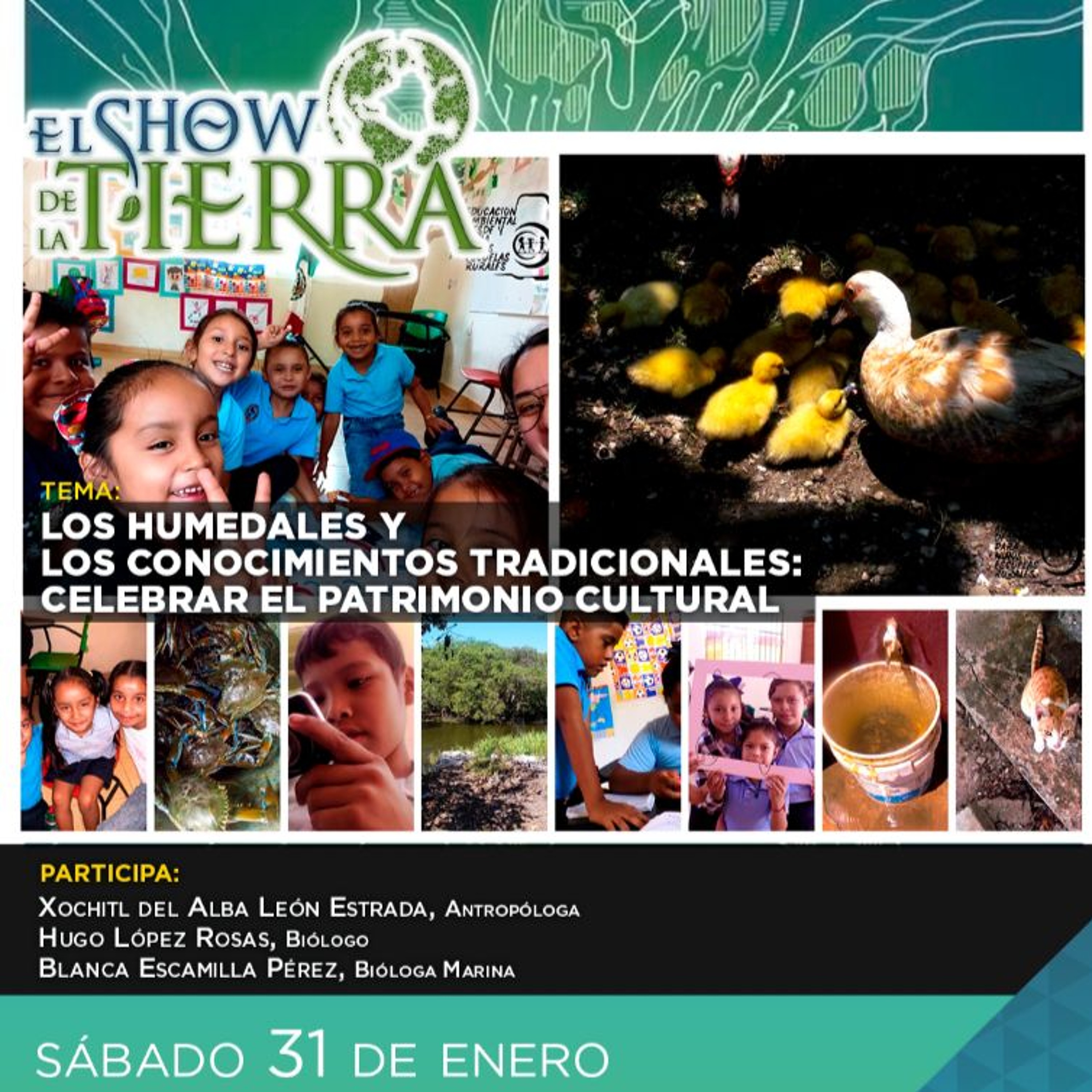 El Show de la Tierra - Día Mundial de los Humedales 2026 episode artwork