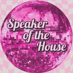 Wicked Dreams - Speaker of the House edit of Chris Issac & Fleetwood Mac