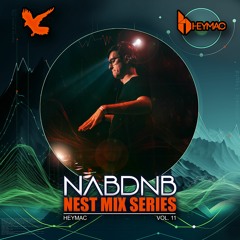 NAB DNB Nest Mix Series [Heymac] - Vol 11