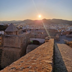 Mushroom Garden Ibiza