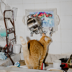 it's (not) the end of the world