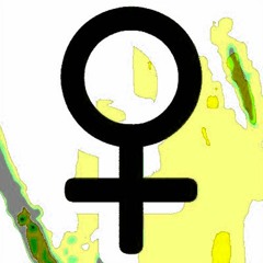 PROD ♀ PIRATE GATOR