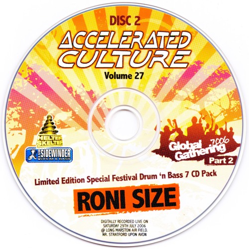 Roni Size @ Global Gathering 2006