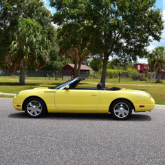 yellow thunderbird [p. sleepyy]