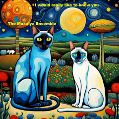 I would really like to know you